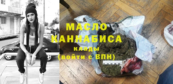 гашик Верея