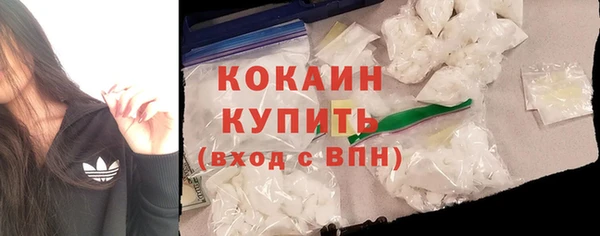 гашик Верея