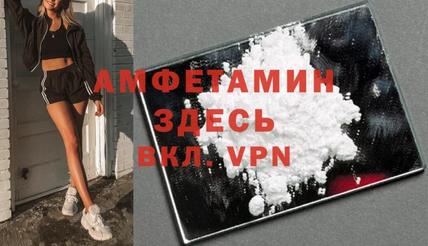 гашик Верея