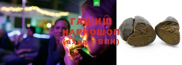 гашик Верея