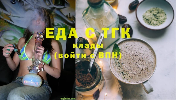 гашик Верея