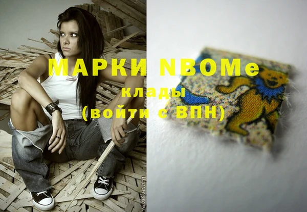 гашик Верея