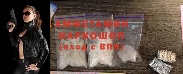 гашик Верея