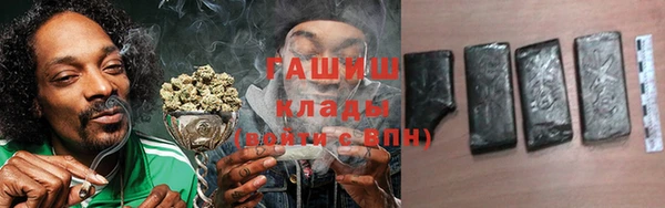 гашик Верея
